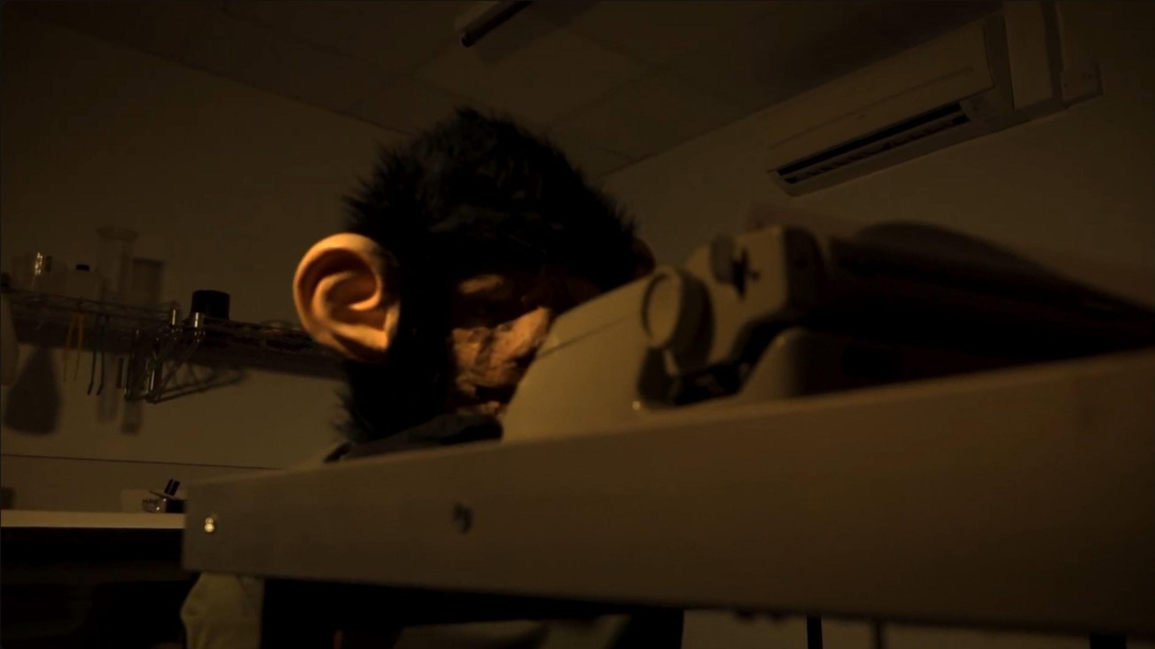 The Infinite Monkey Theorem 2025 movie scene