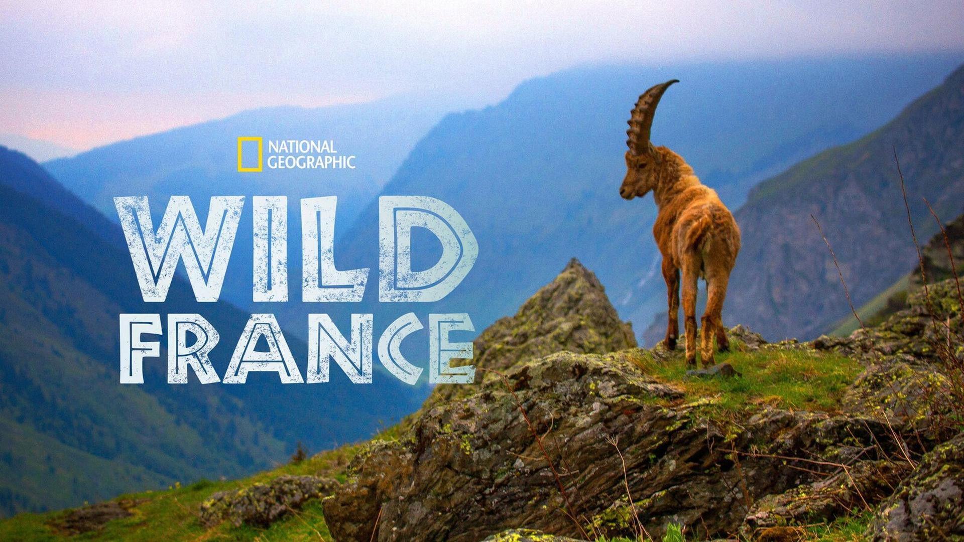 Wild France 2013 movie scene