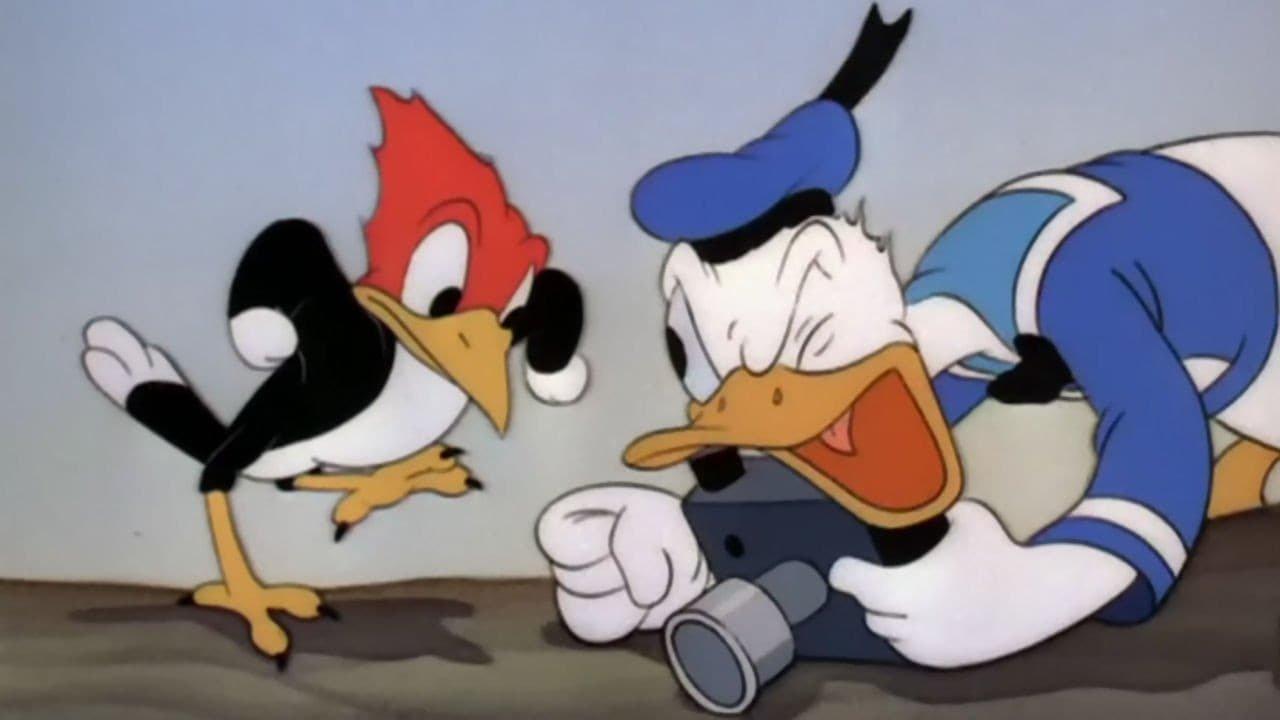 Donald's Camera 1941 movie scene