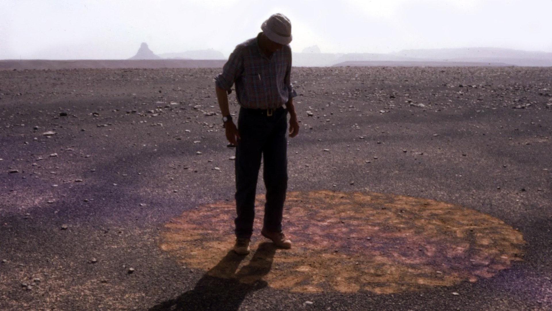 Stones and Flies: Richard Long in the Sahara 1988 movie scene