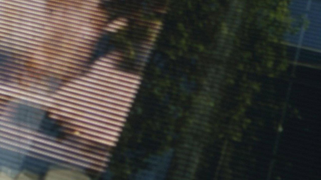 Colophon (for the Arboretum Cycle) 2018 movie scene