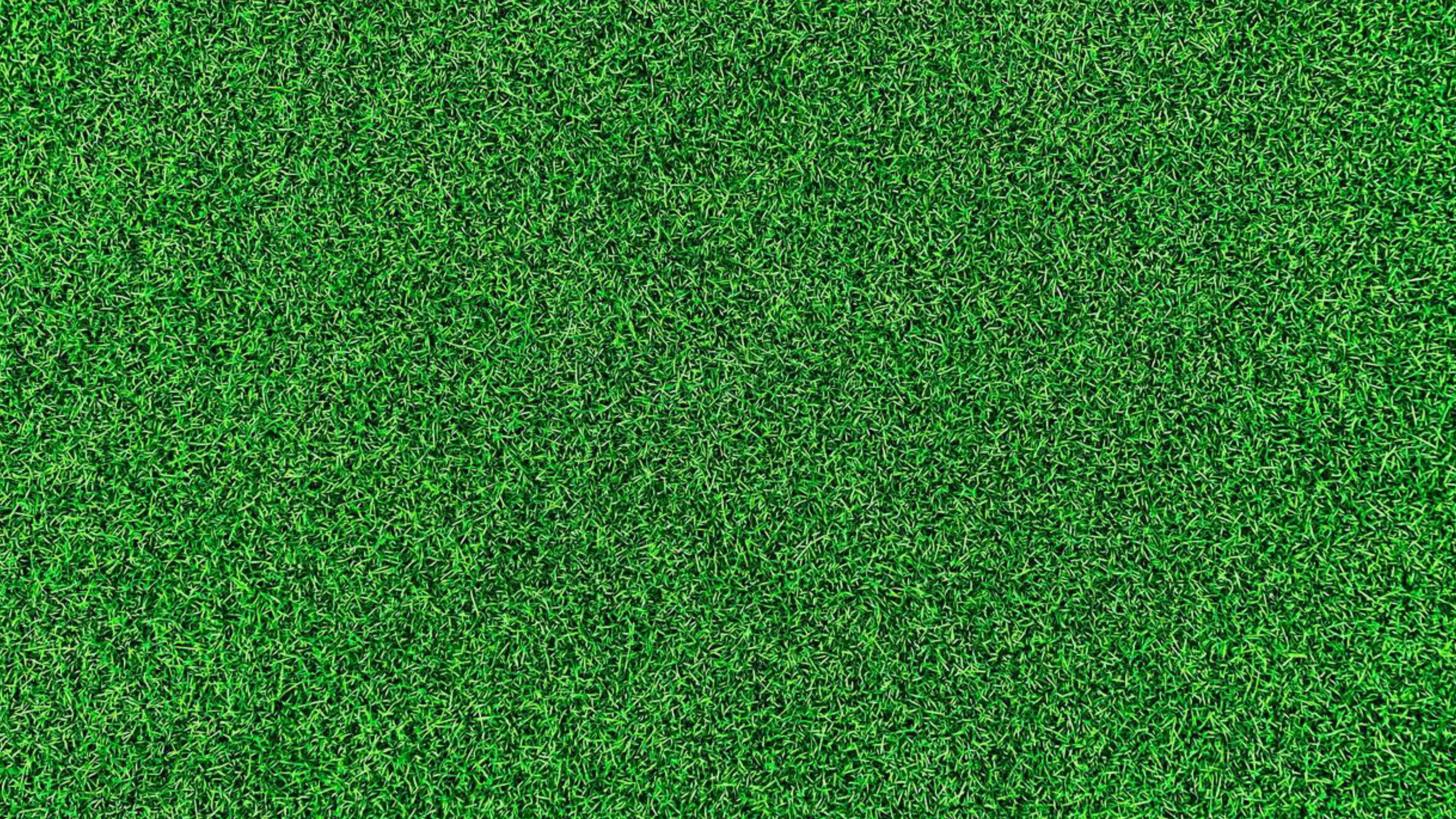 Life on the Green 2024 movie scene