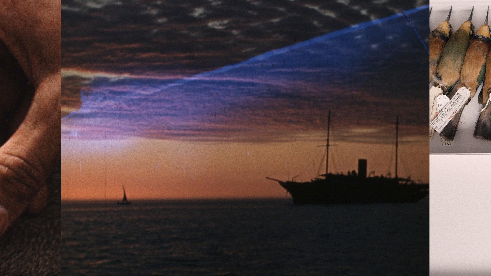 Panorama 2023 movie scene