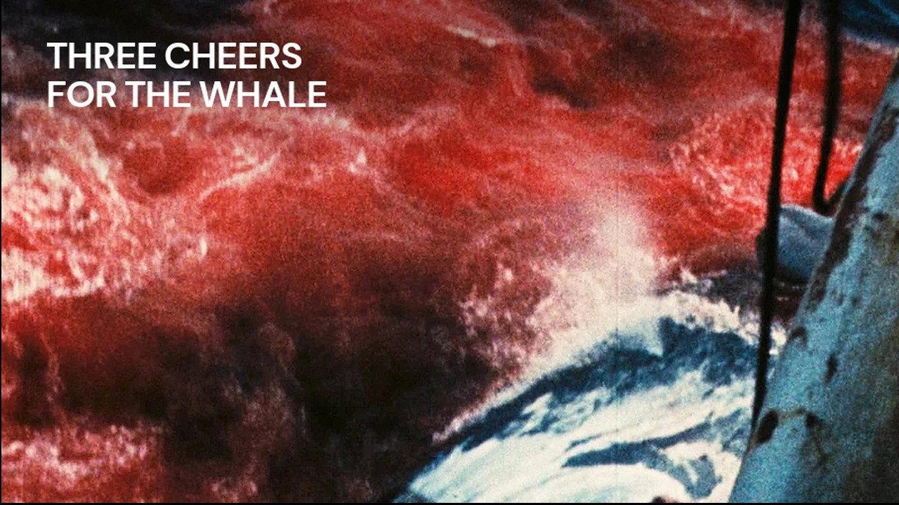 Three Cheers for the Whale 1972 movie scene