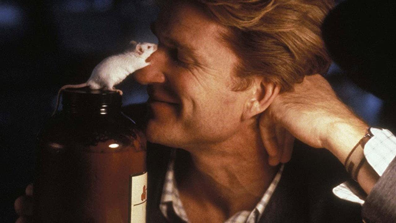 Flowers for Algernon 2000 movie scene