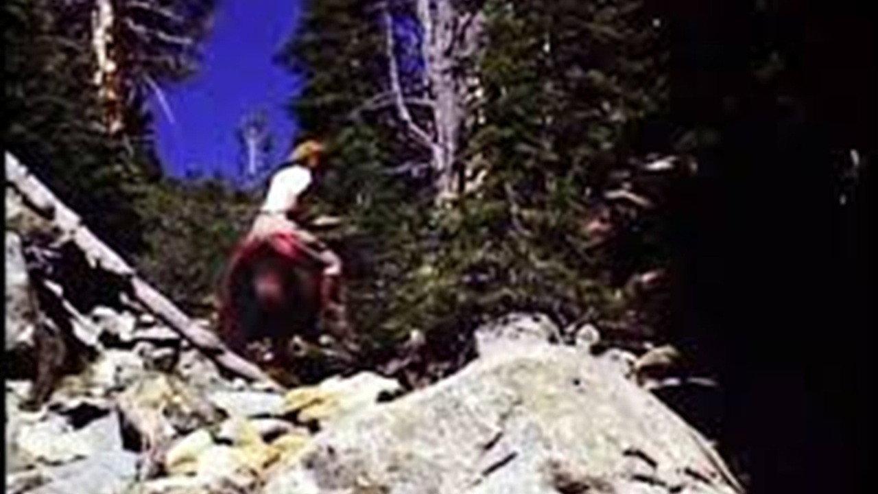Explorers of the Purple Sage 1945 movie scene