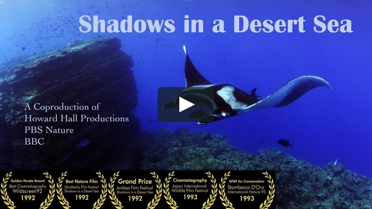 Shadows in a Desert Sea 1993 movie scene
