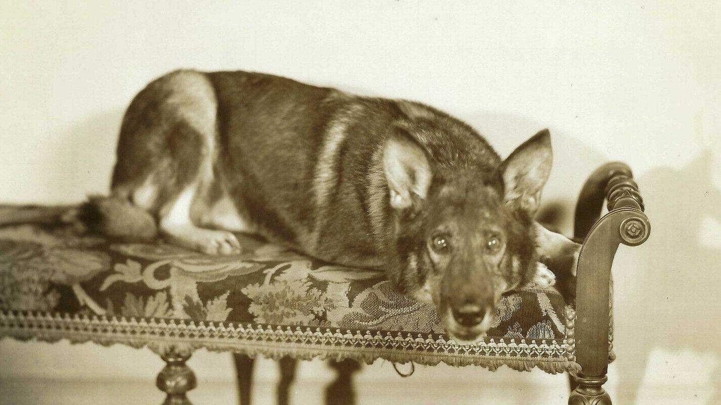 Land of the Silver Fox 1928 movie scene