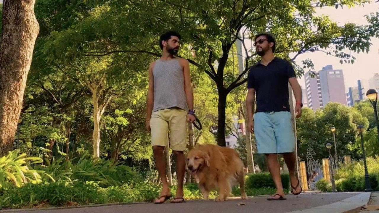 Cinema de Amor 2019 movie scene