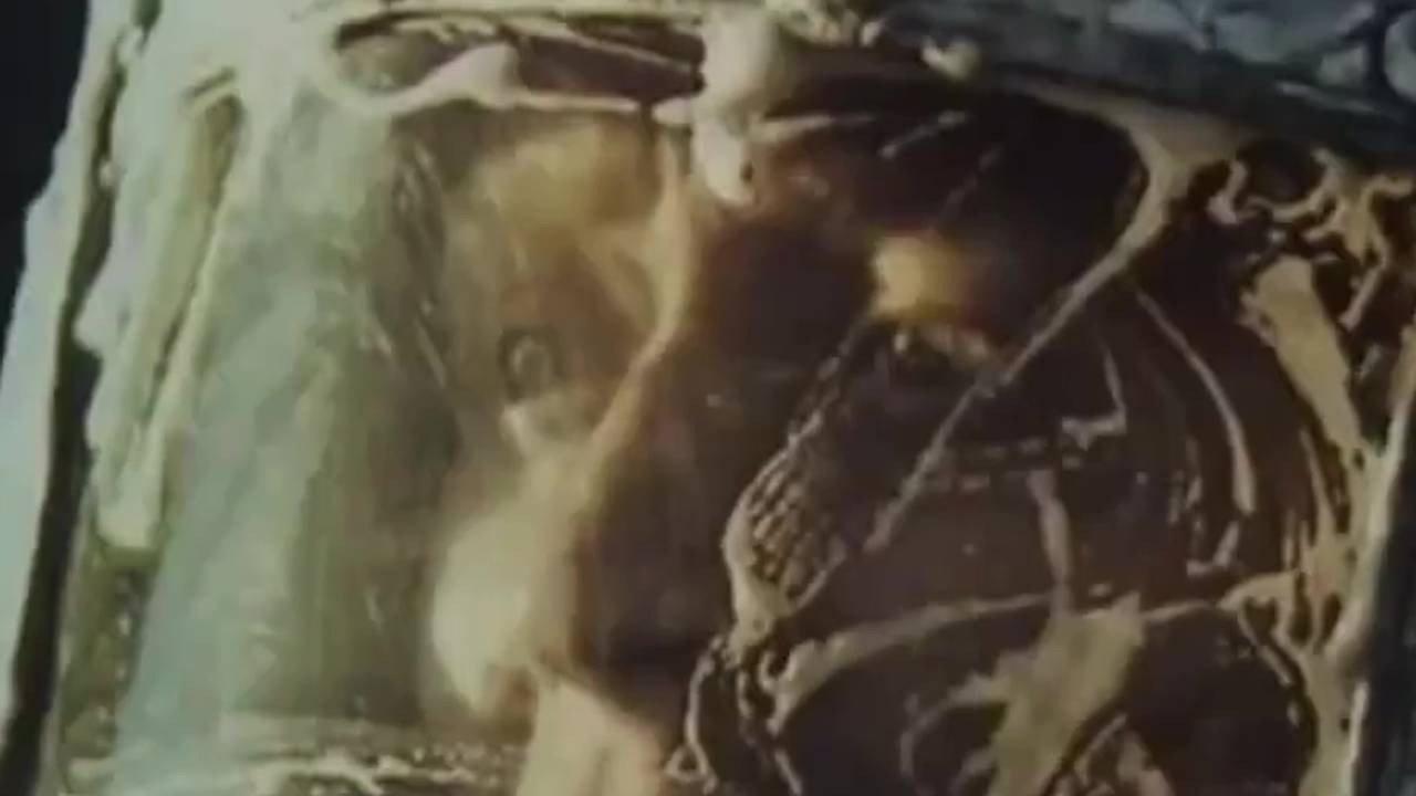 Peter Klimov Street 1978 movie scene