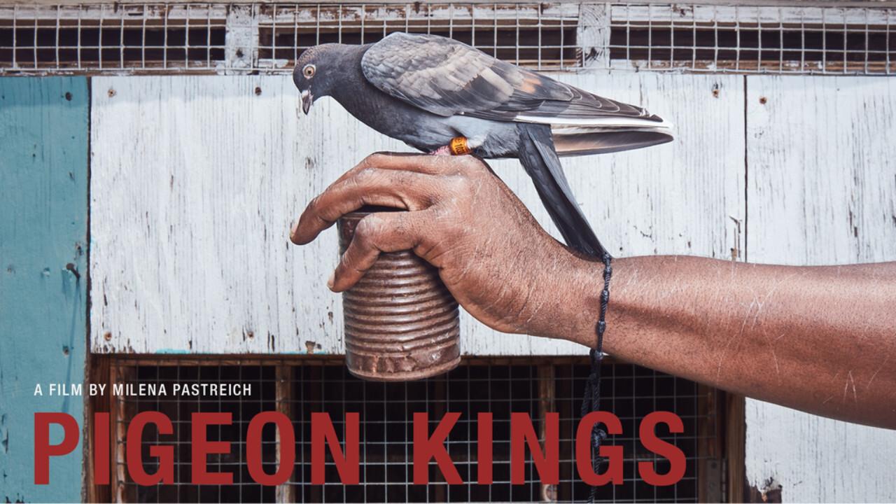 Pigeon Kings 2019 movie scene