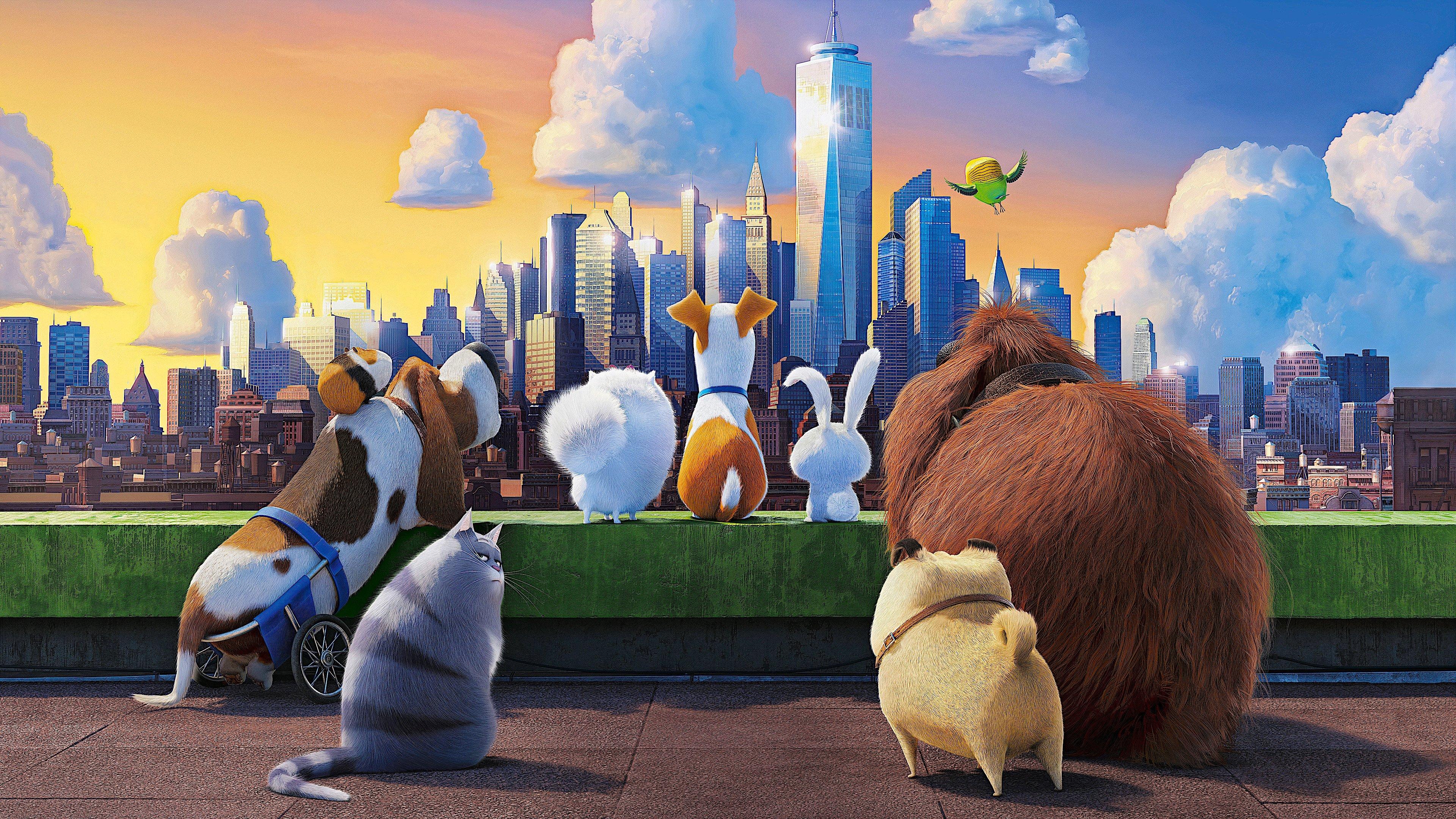 The Secret Life of Pets 2016 movie scene