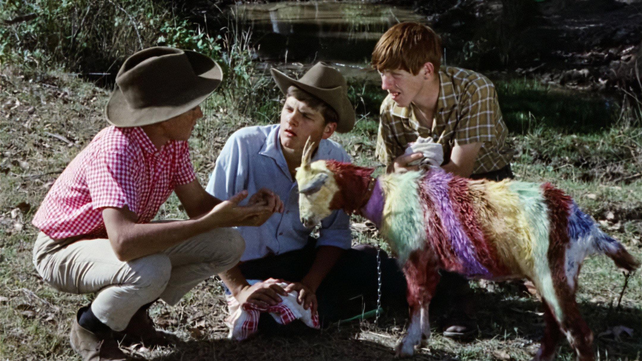 Funny Things Happen Down Under 1965 movie scene