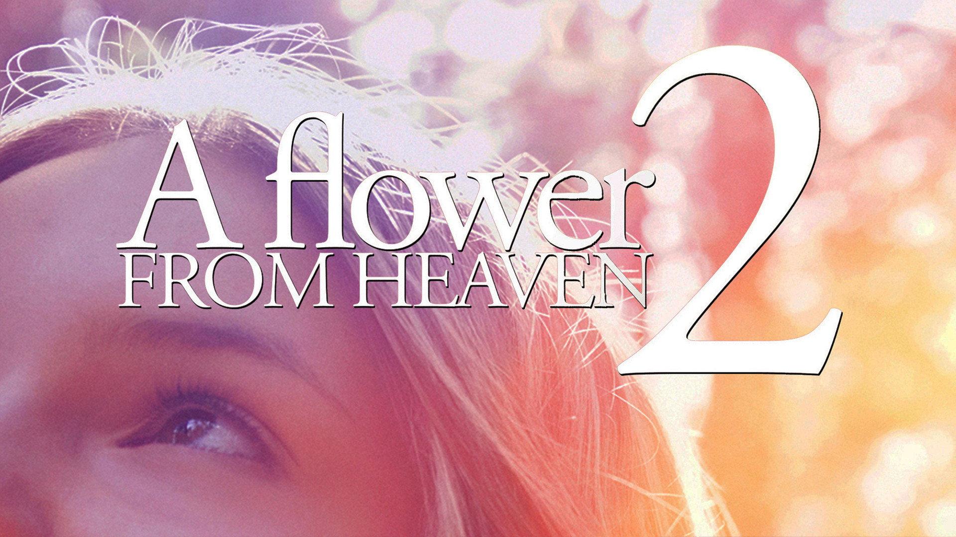 A Flower from Heaven 2: A Perilous Journey 2017 movie scene