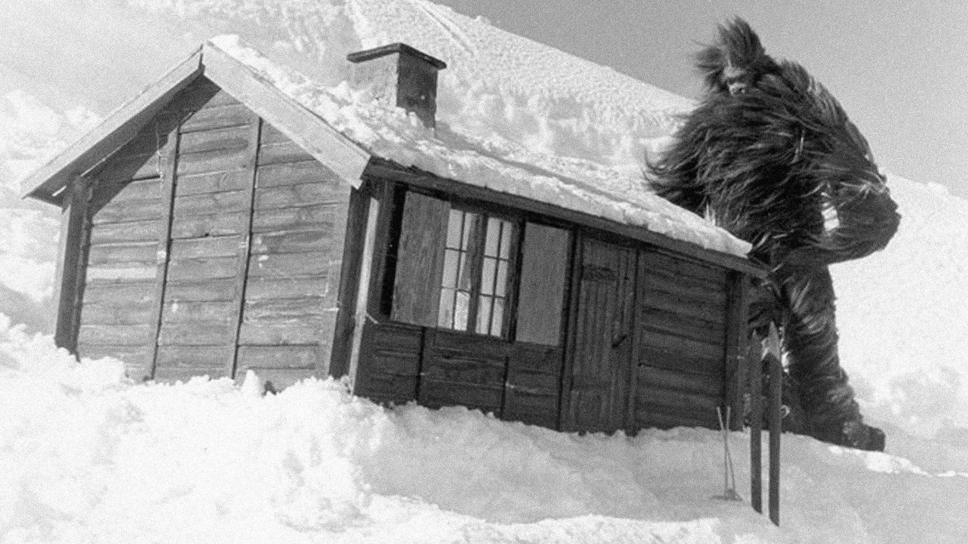Terror in the Midnight Sun 1959 movie scene