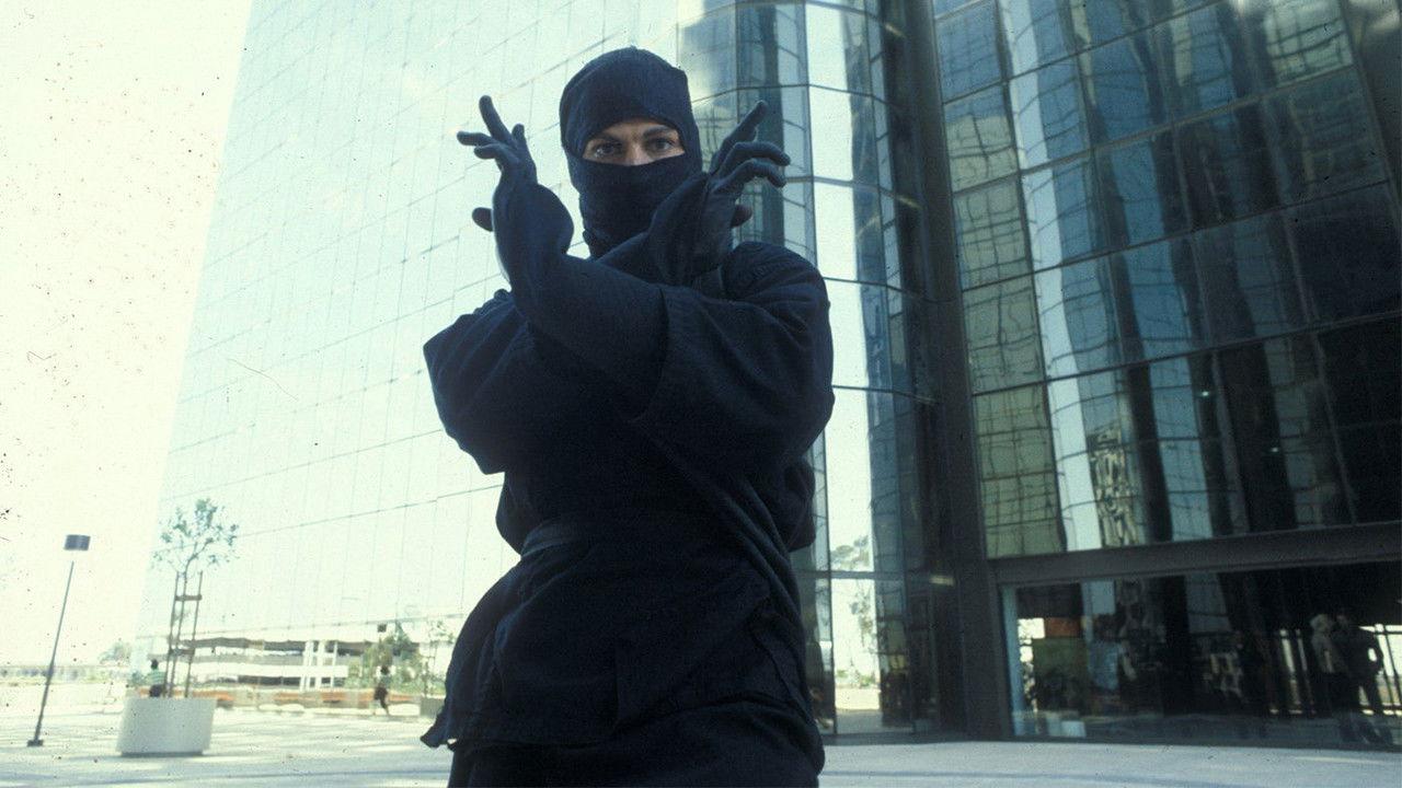 The Last Ninja 1983 movie scene