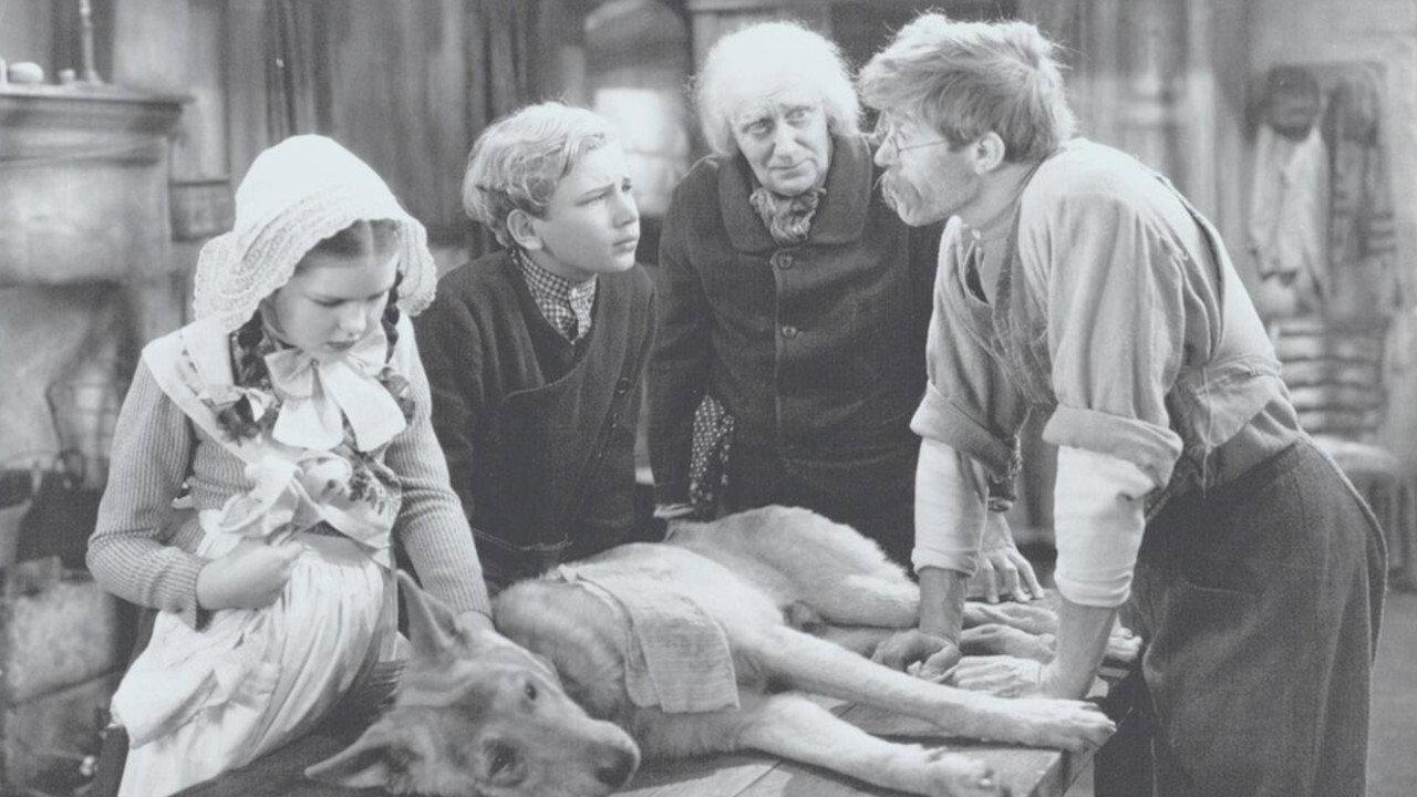 A Dog of Flanders 1935 movie scene
