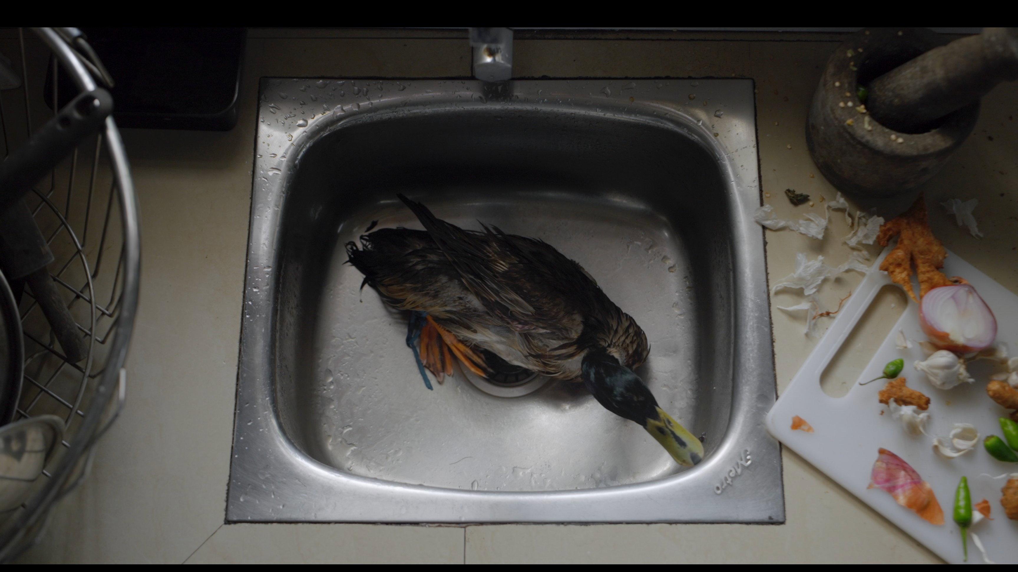 a duck tale movie scene