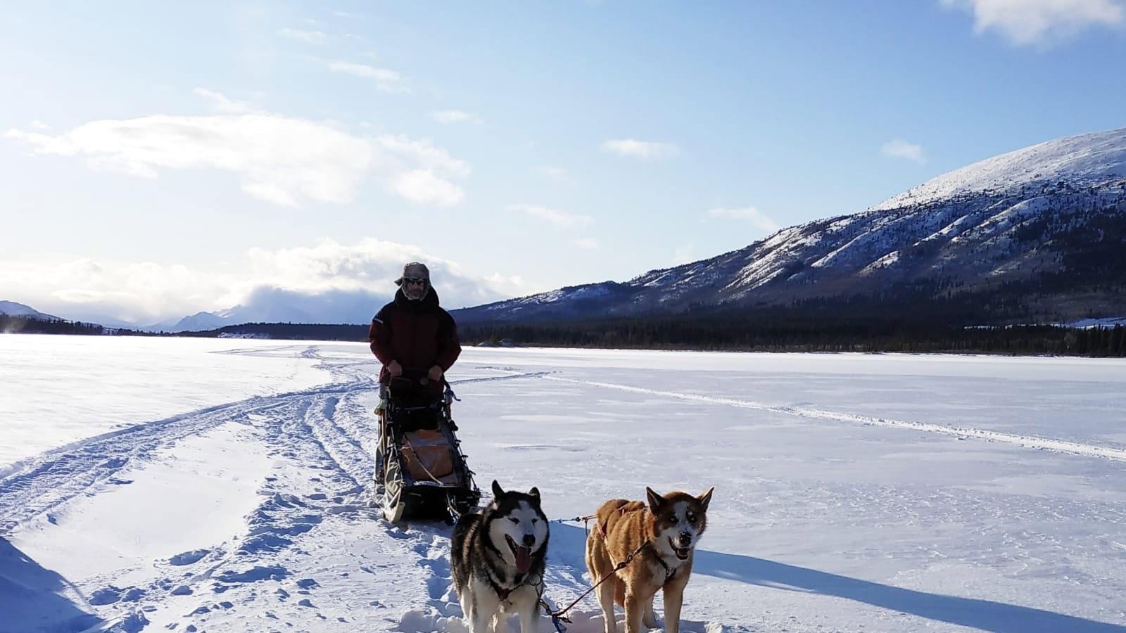The Call of the Far North 2021 movie scene