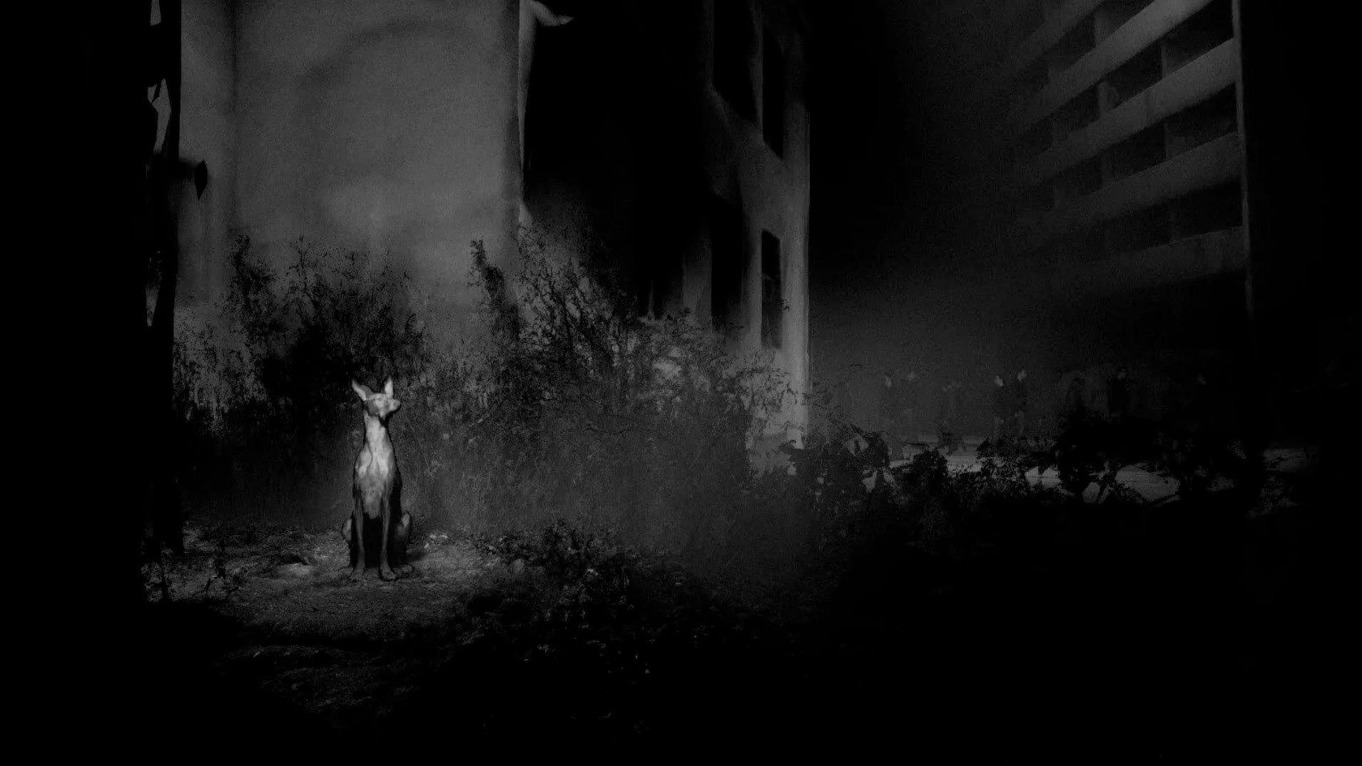 Songs for a Passerby 2023 movie scene