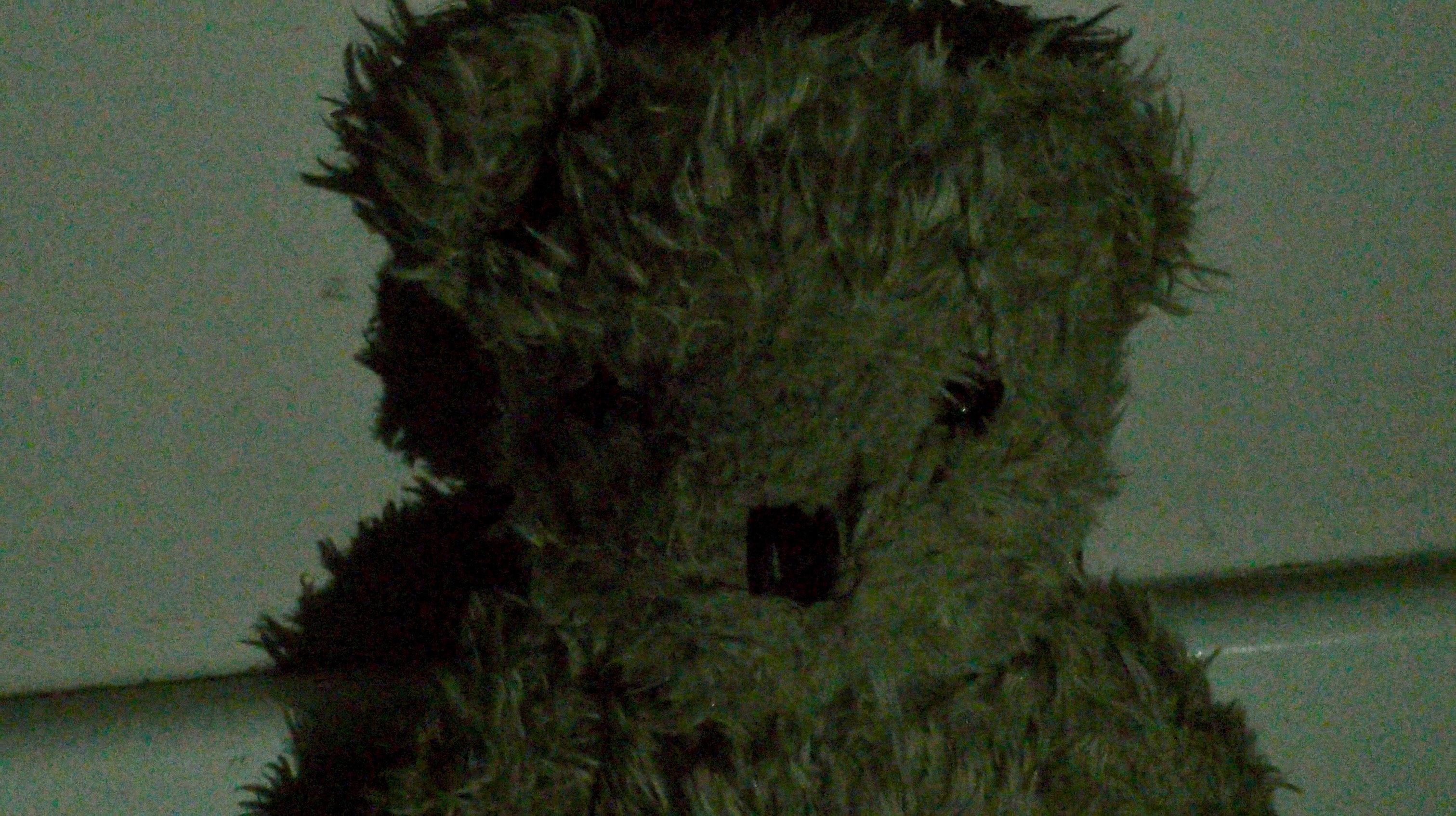 Forever and Ever 2024 movie scene