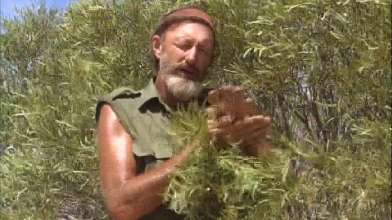 Survival In The Outback 1991 movie scene