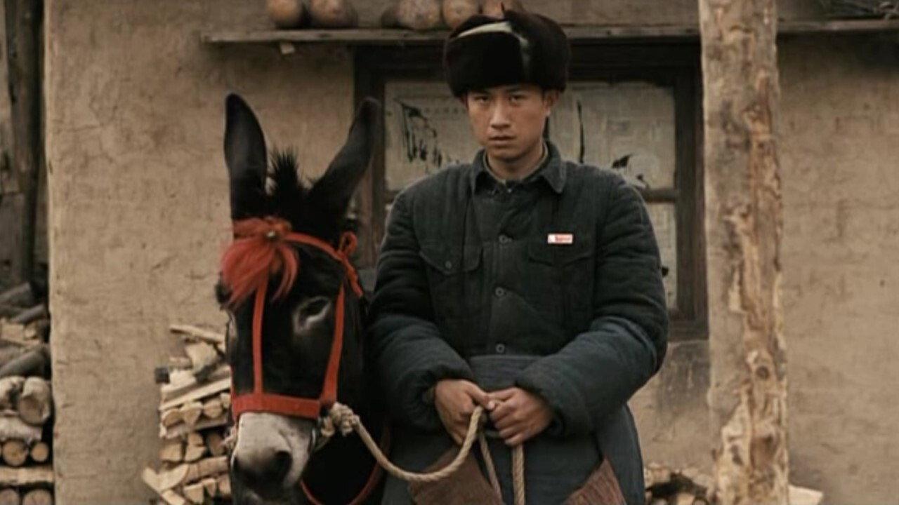 A Tale of Two Donkeys 2009 movie scene
