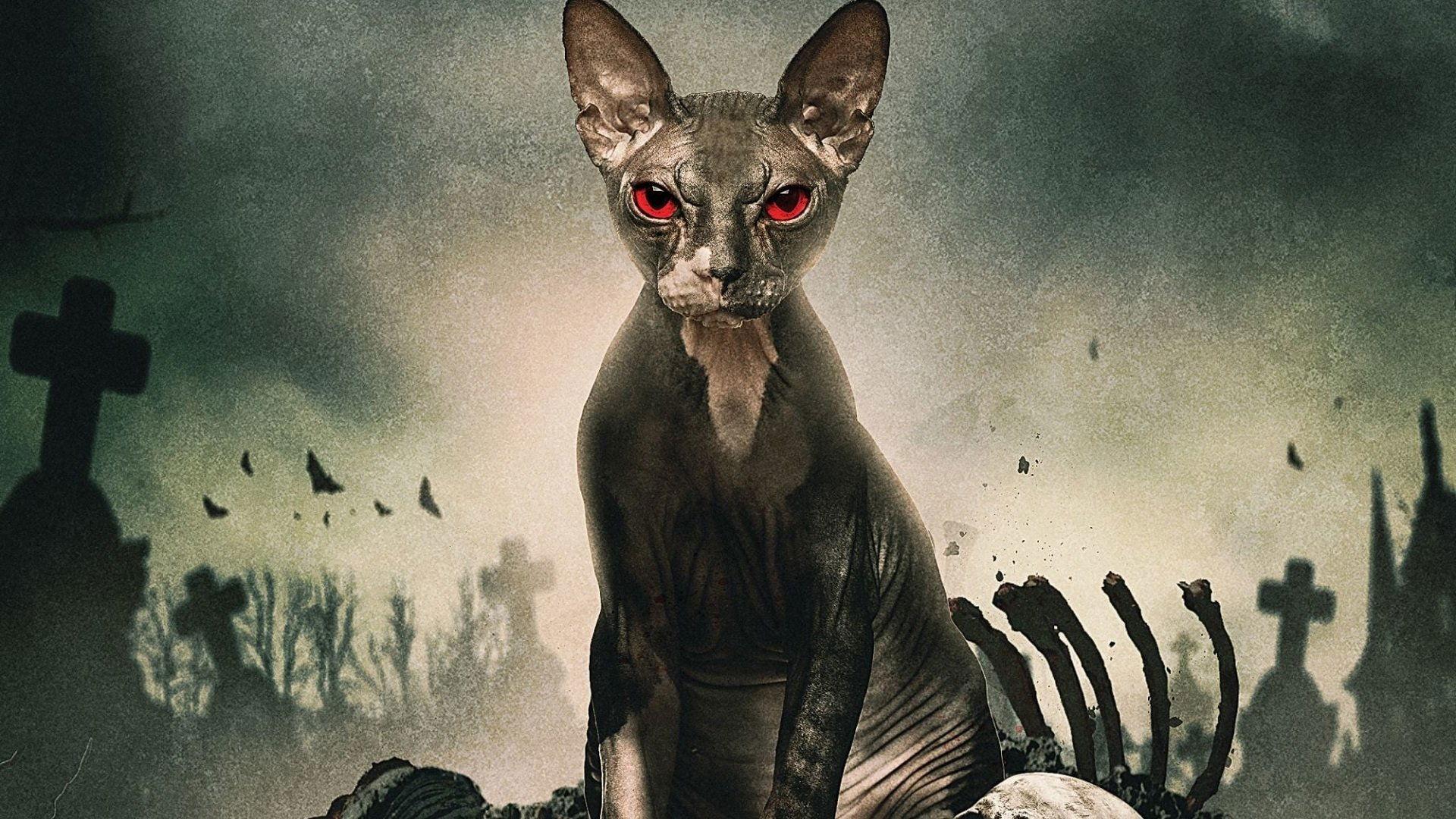 Pet Graveyard 2019 movie scene