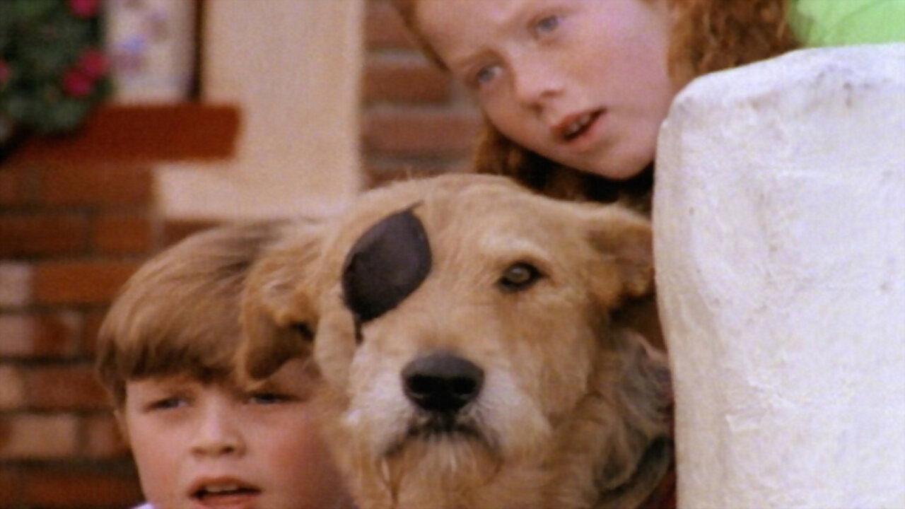 Sherlock: Undercover Dog 1994 movie scene