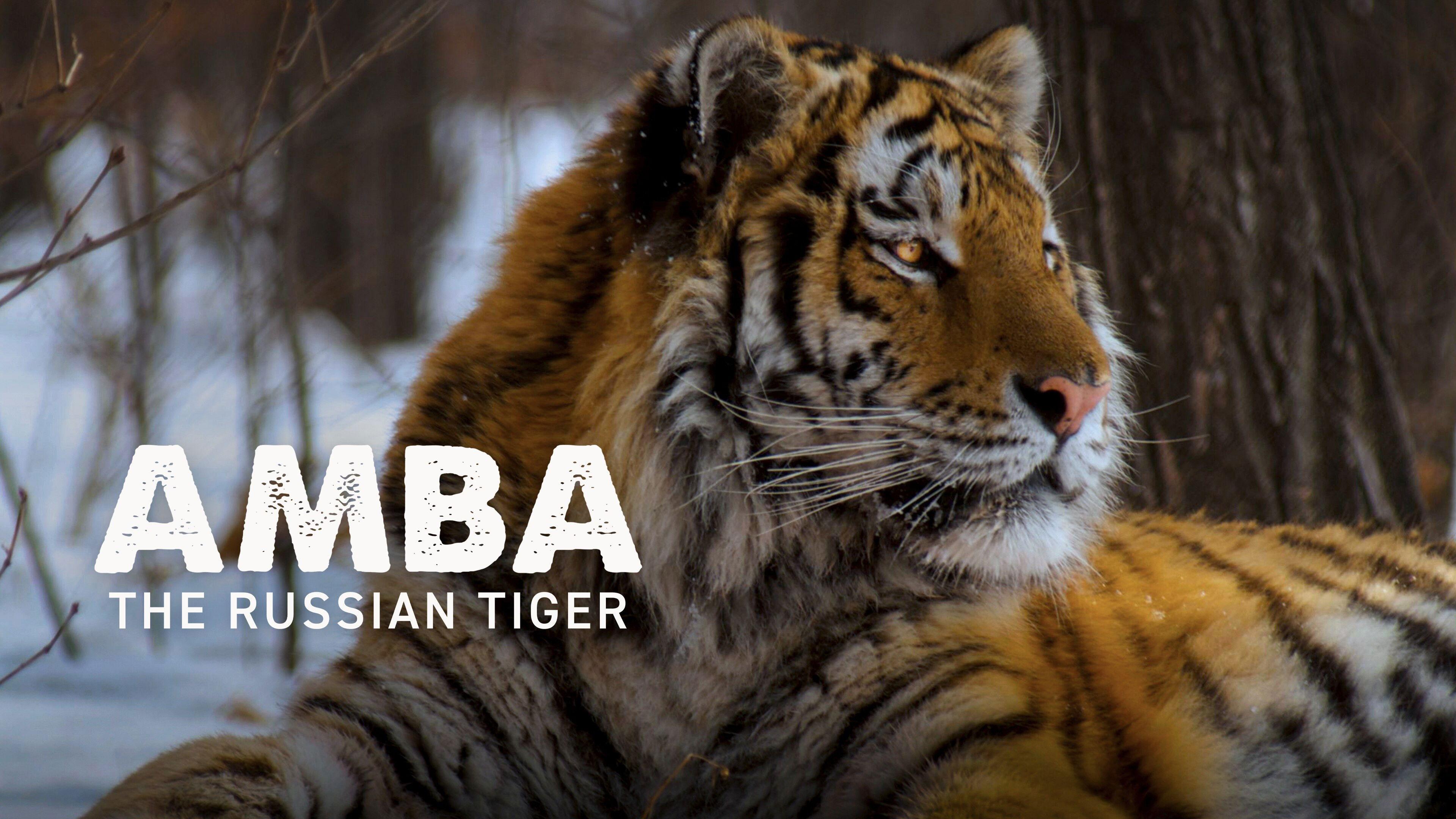 Amba: The Russian Tiger 2005 movie scene