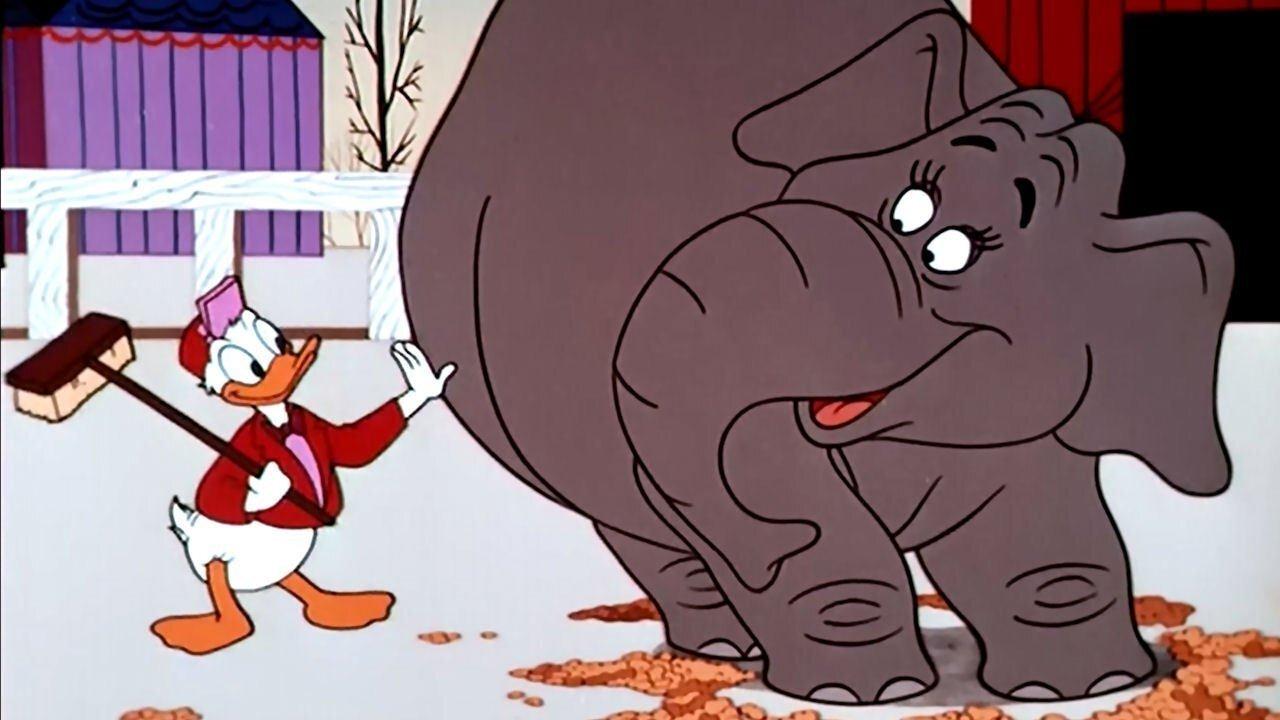 Working for Peanuts 1953 movie scene