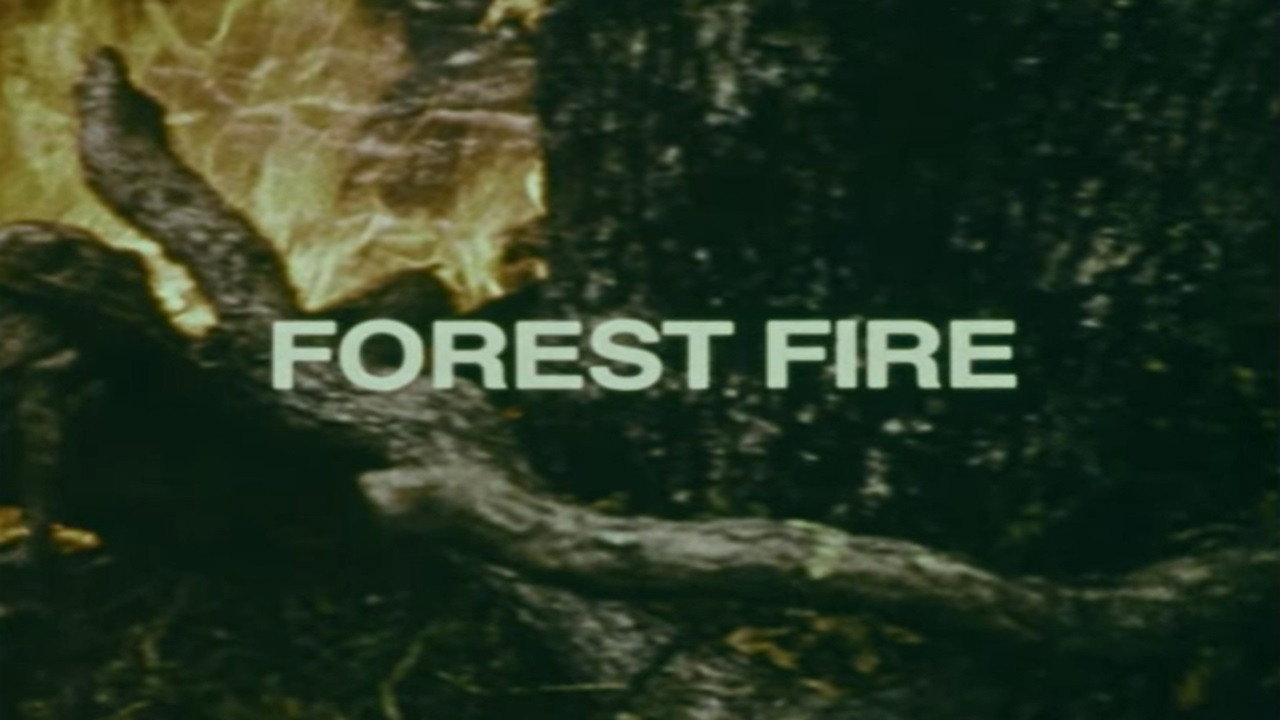 Your Chance to Live: Forest Fire 1973 movie scene