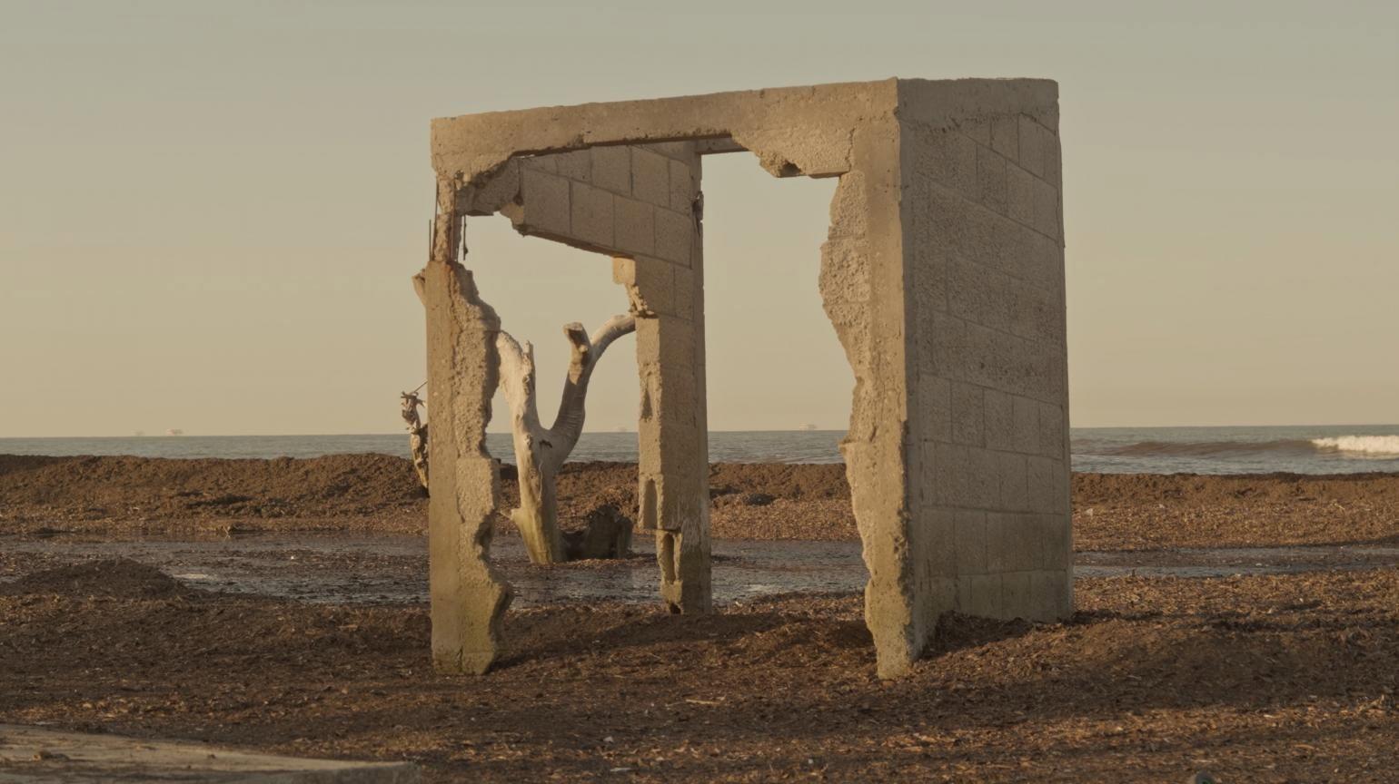 The Stride of Lichen 2024 movie scene