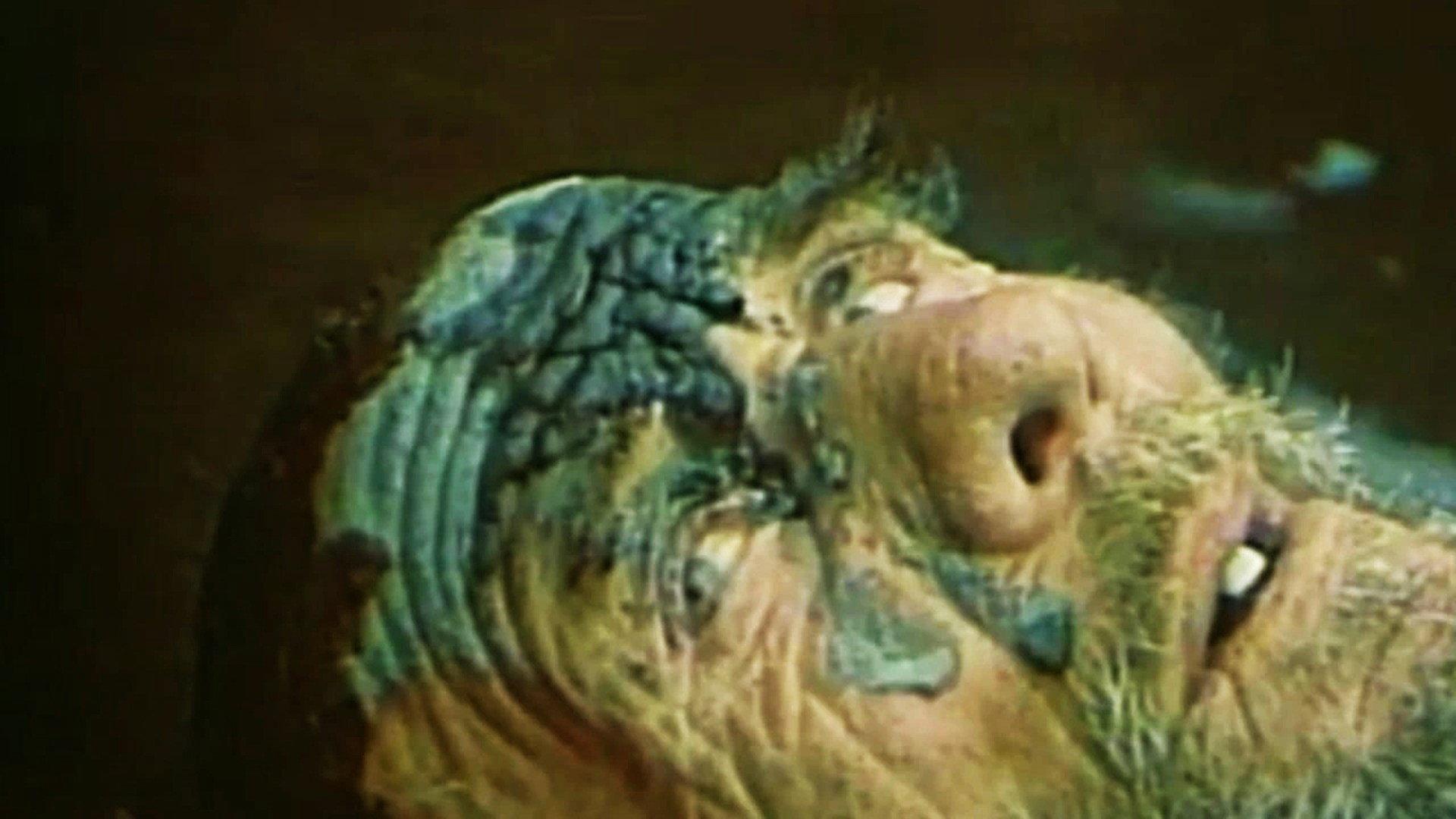 A Day More 1972 movie scene