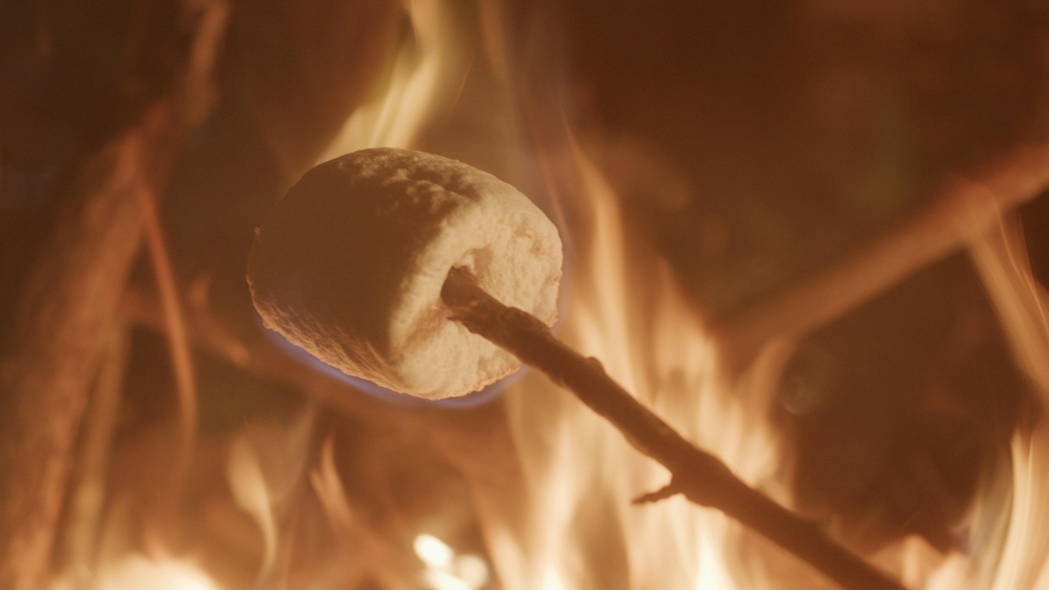 By the Campfire 2021 movie scene
