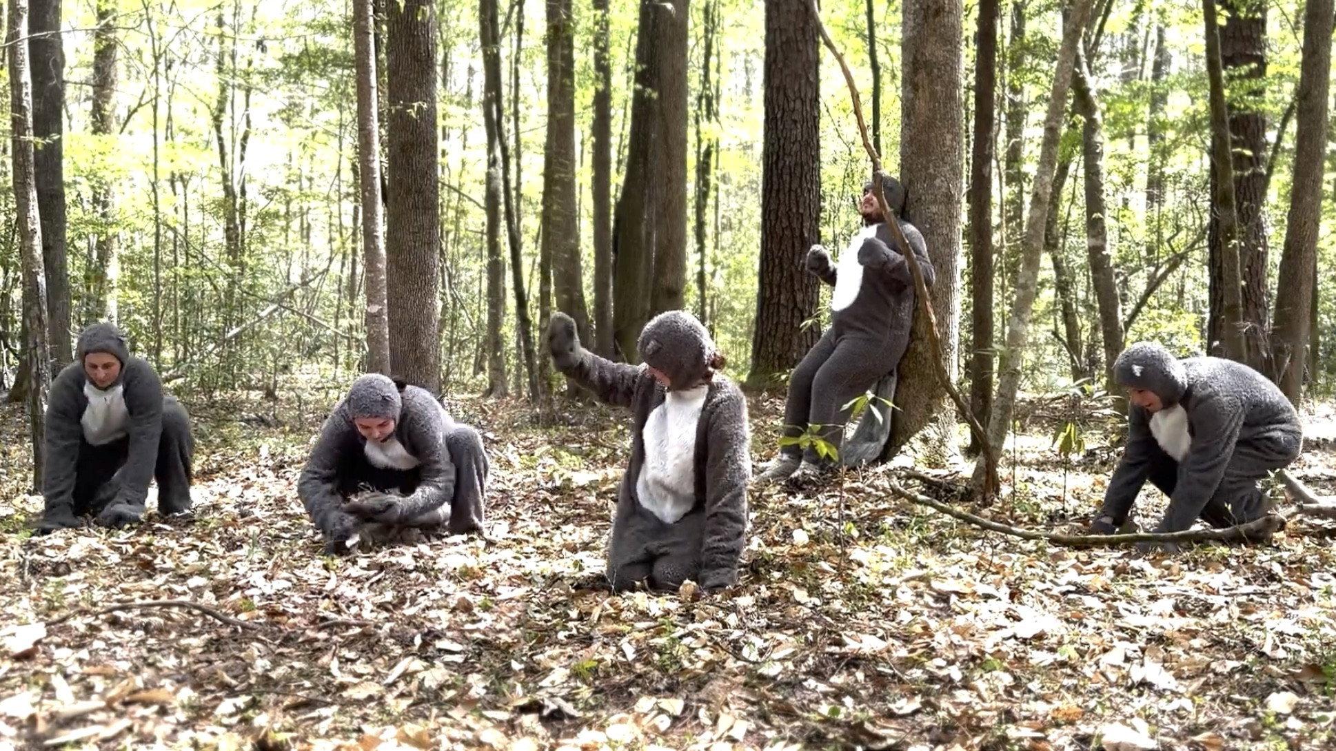 Nature Planet: Squirrels 2024 movie scene