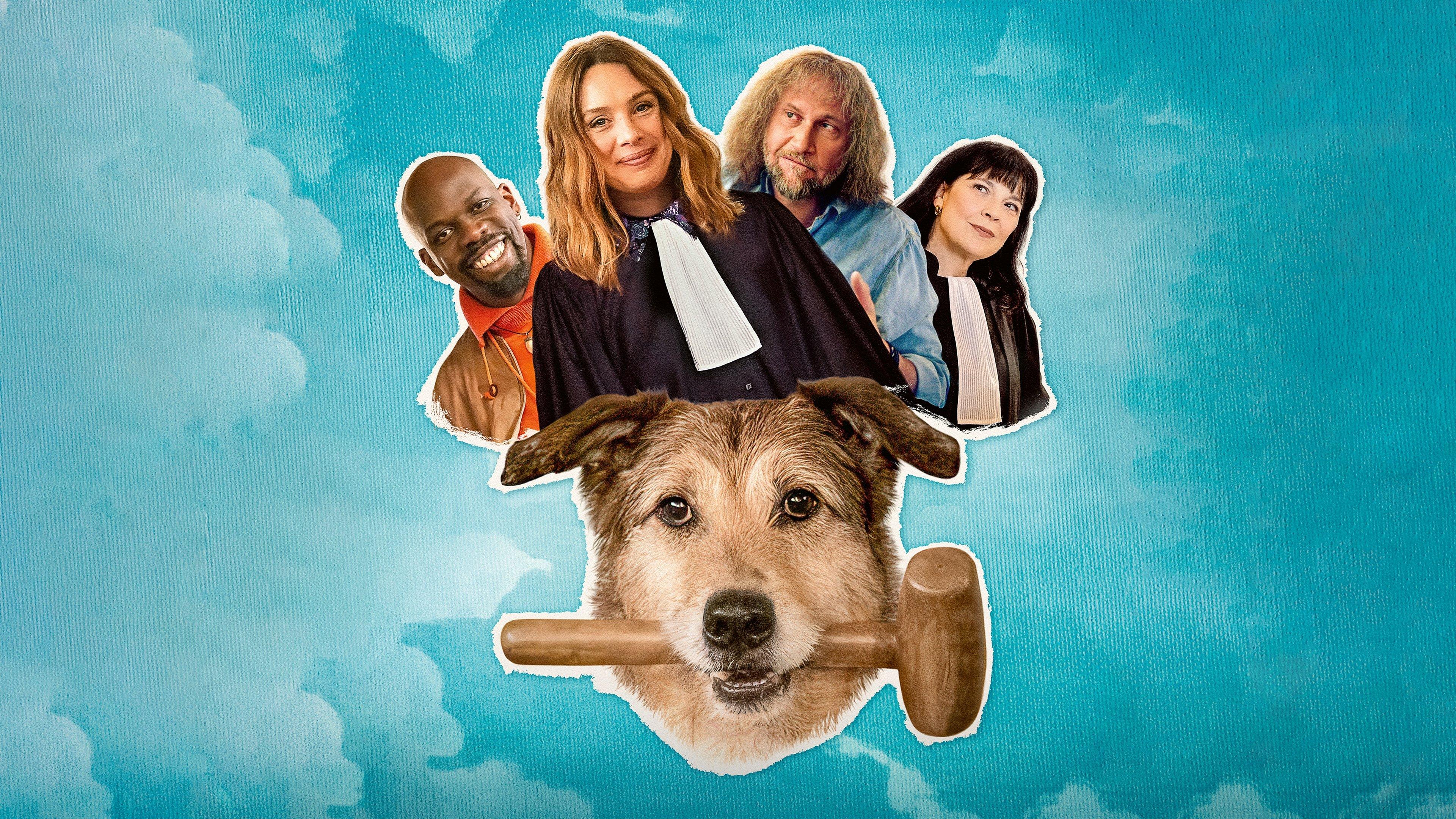Dog on Trial 2024 movie scene