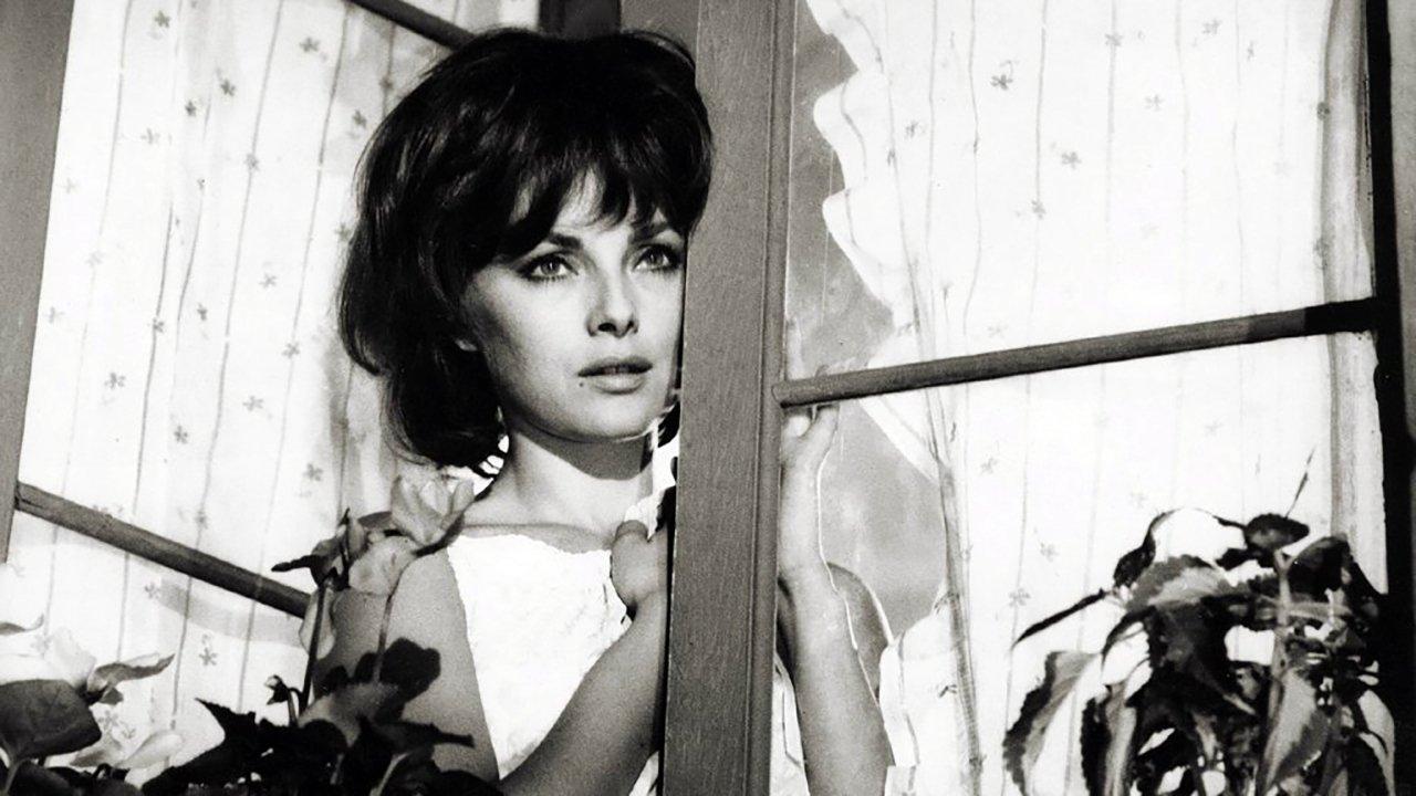 The Birds, the Bees and the Italians 1966 movie scene