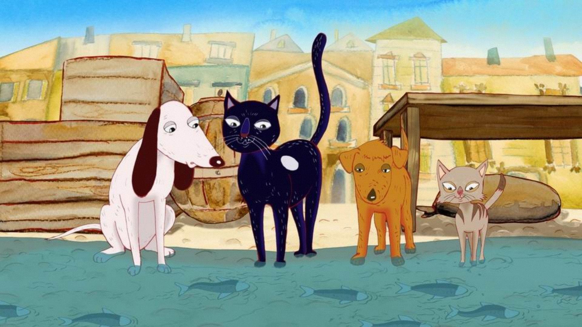 About Dogs and Cats 2017 movie scene