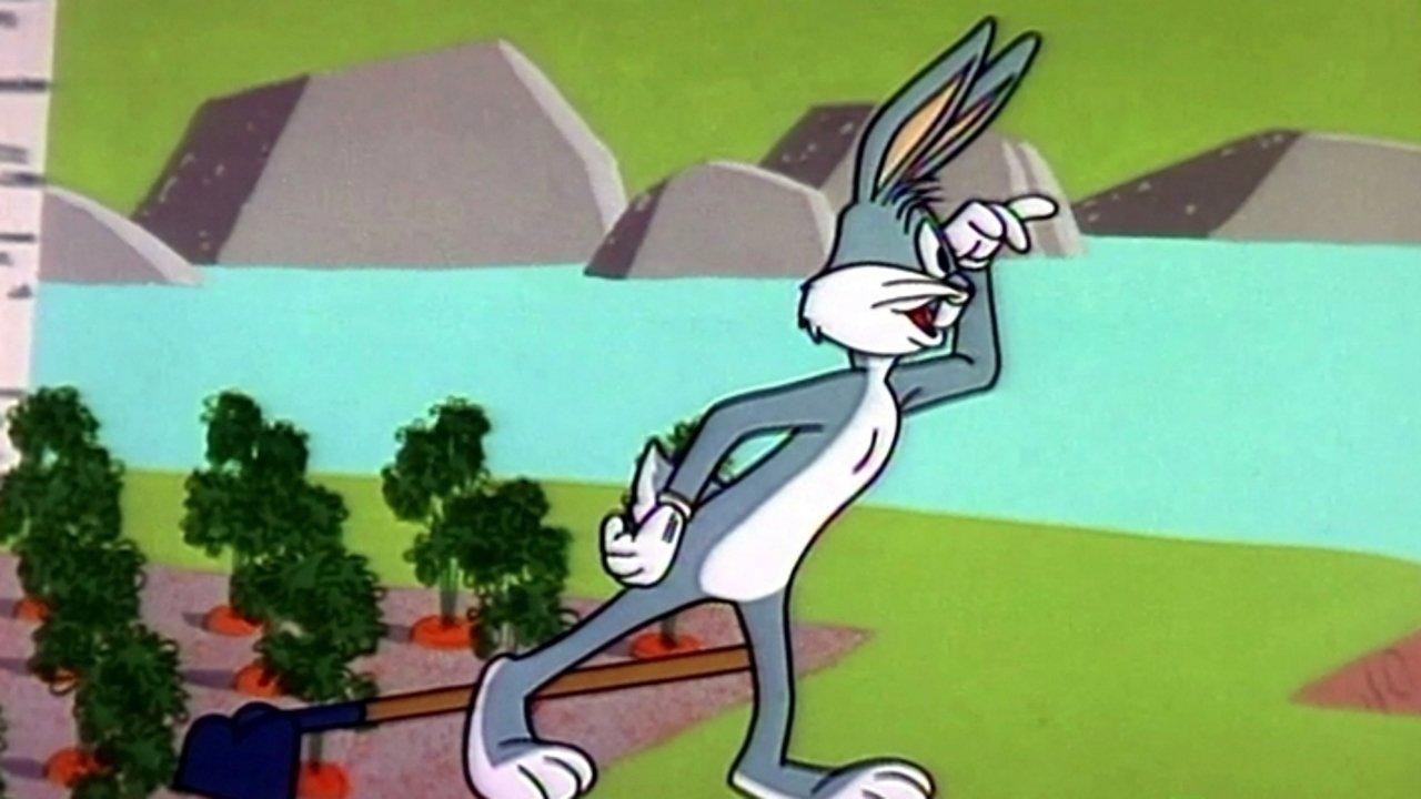 Wet Hare 1962 movie scene