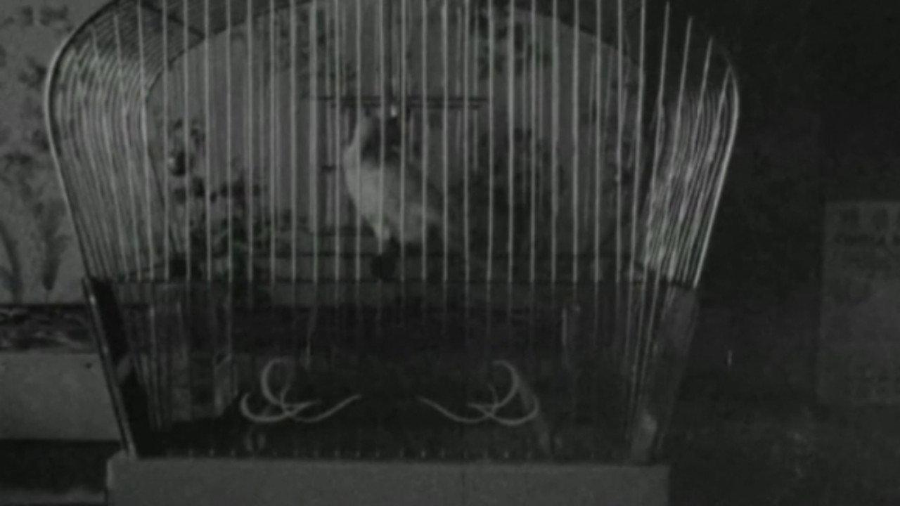 S.O.S. Fonske 1968 movie scene