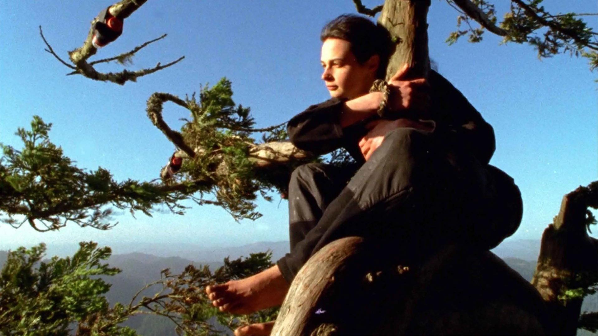 Butterfly 2001 movie scene