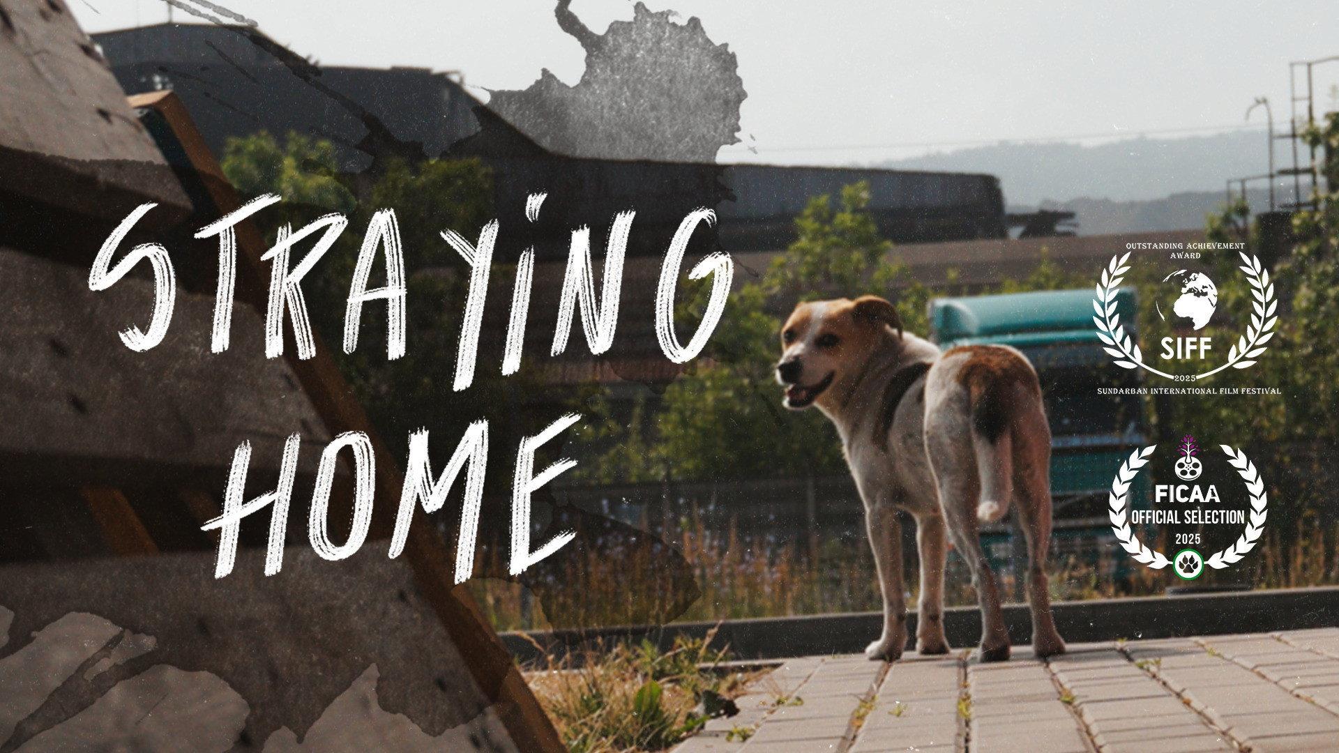 Straying home 2025 movie scene