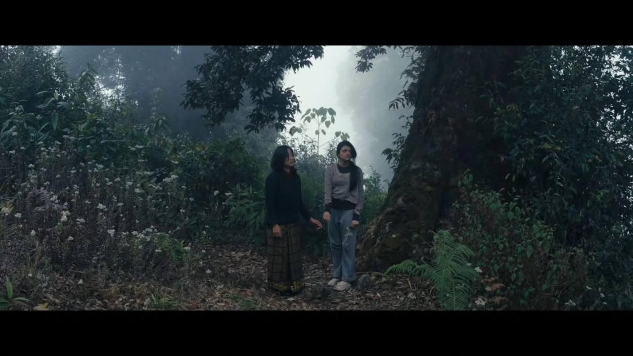 When the Sunflowers Withered 2026 movie scene
