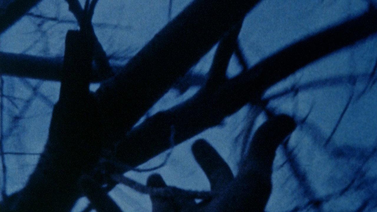 Anticipation of the Night 1958 movie scene