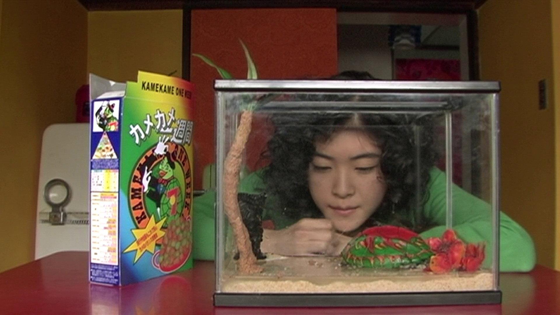 Turtles Are Surprisingly Fast Swimmers 2005 movie scene