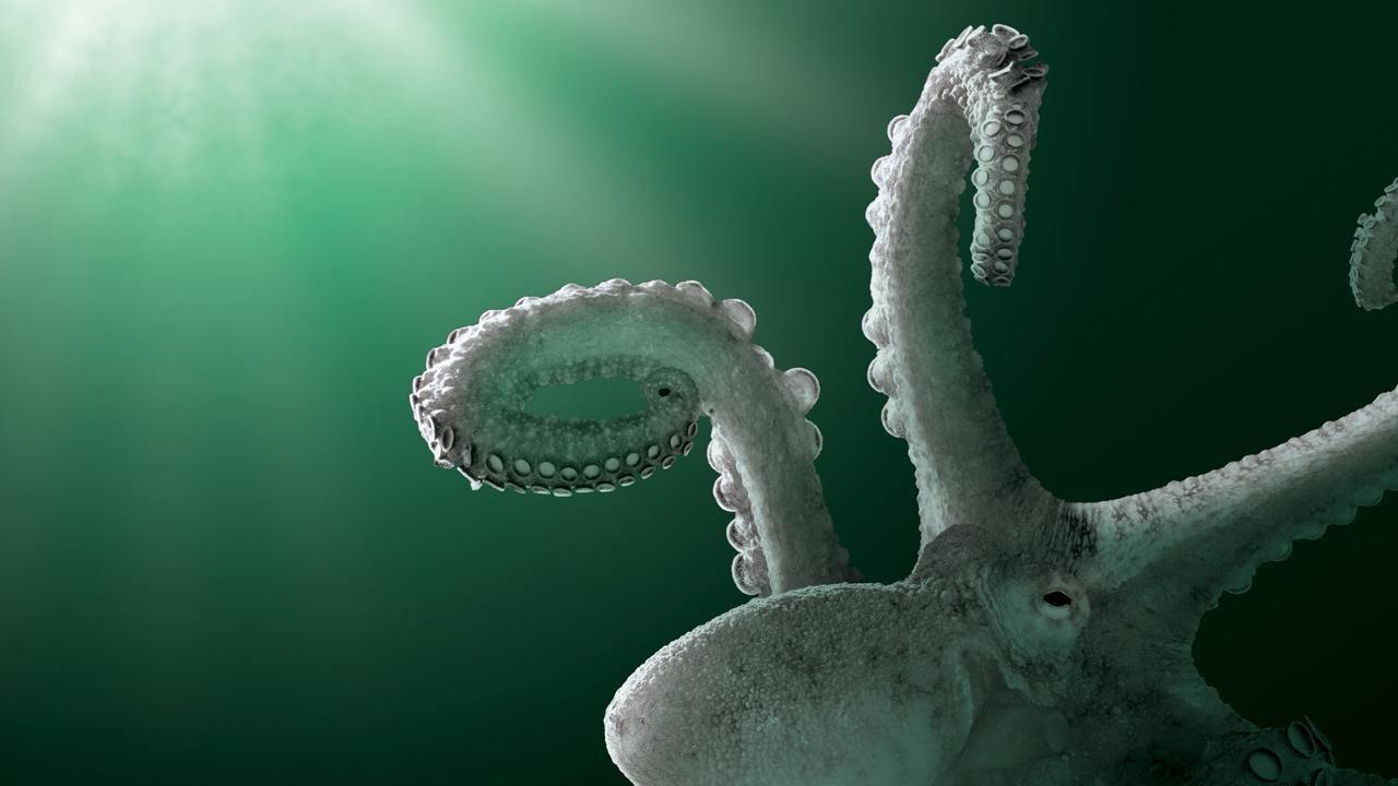 Aliens of the Deep Sea 2010 movie scene