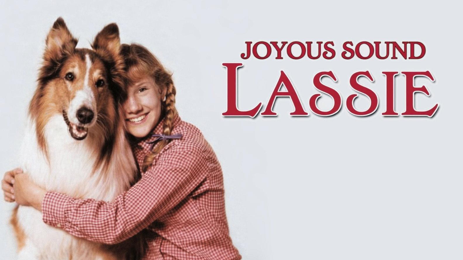 Lassie: Joyous Sound 1972 movie scene