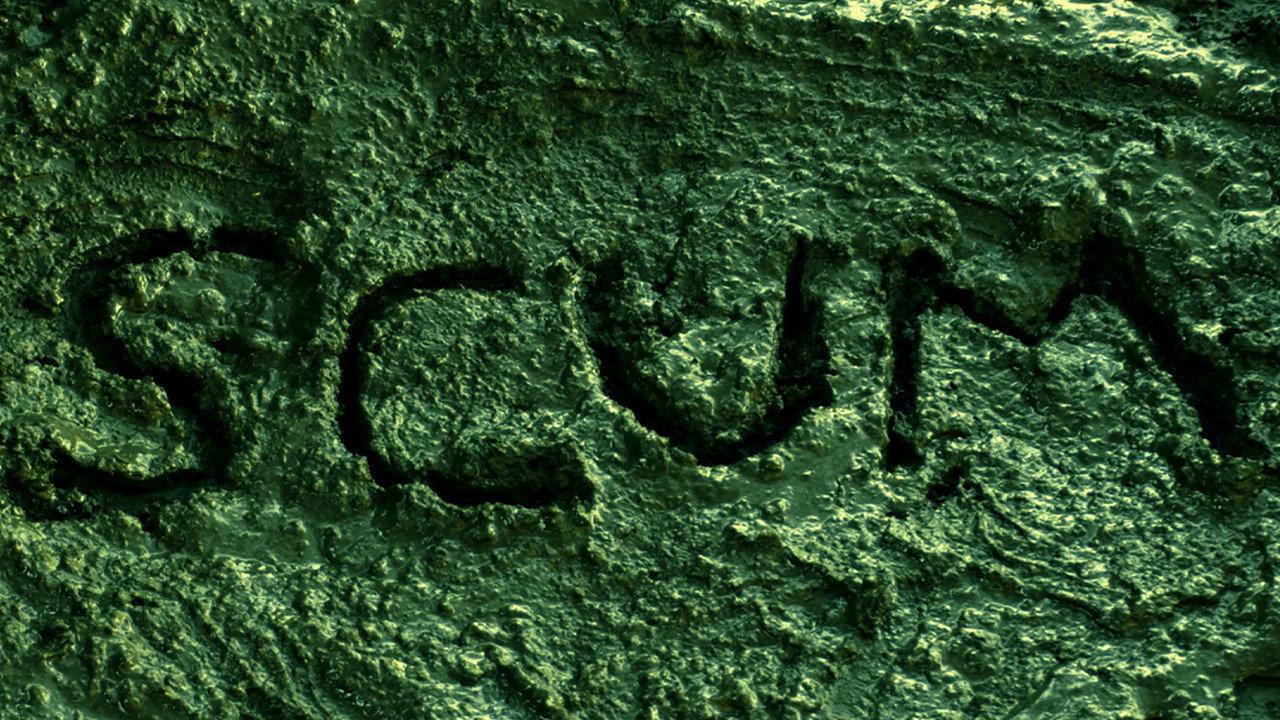 SCUM 2026 movie scene