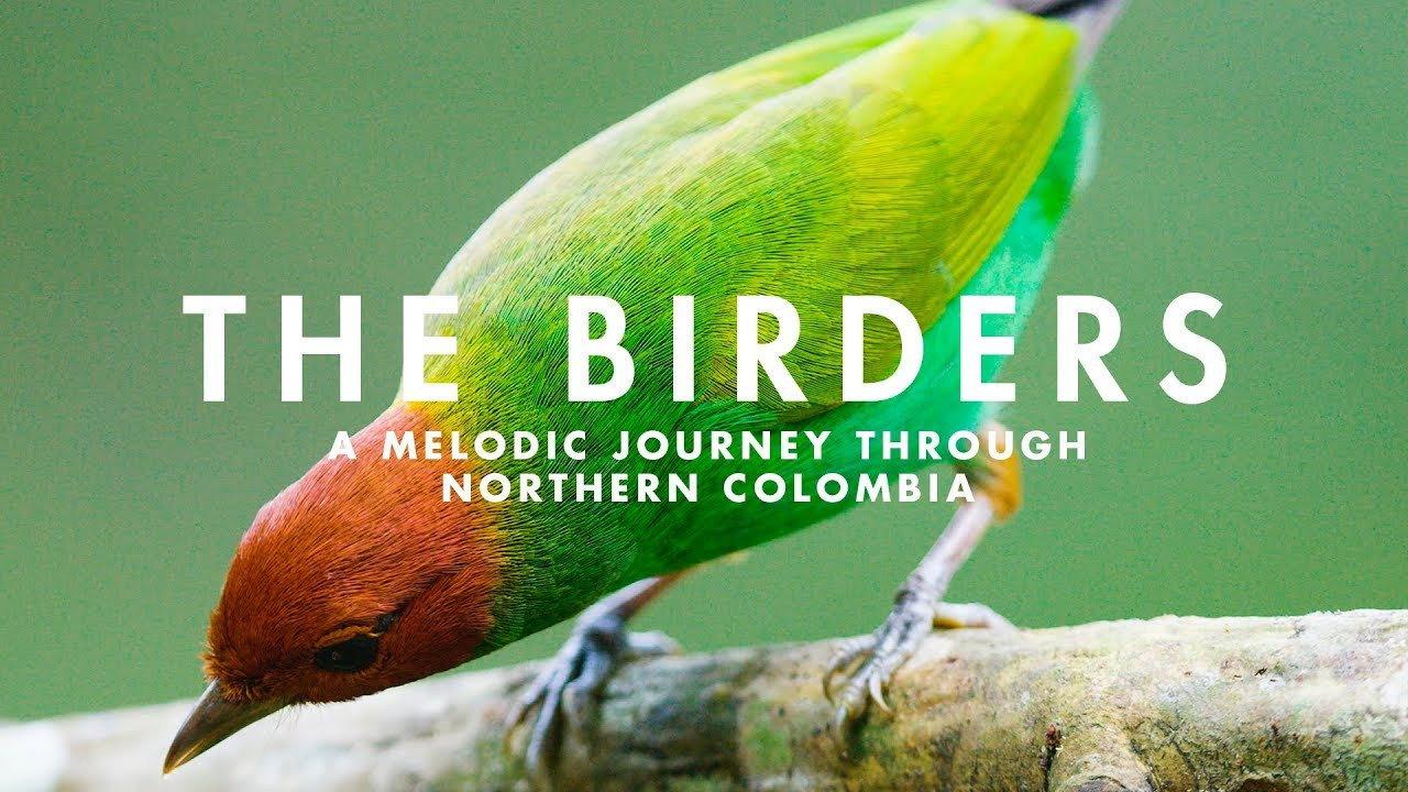 The Birders 2019 movie scene